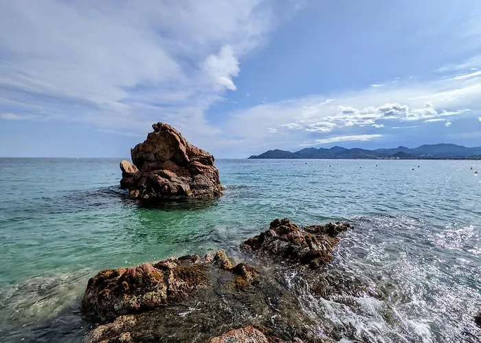 Lovely Cocoon In * Cannes