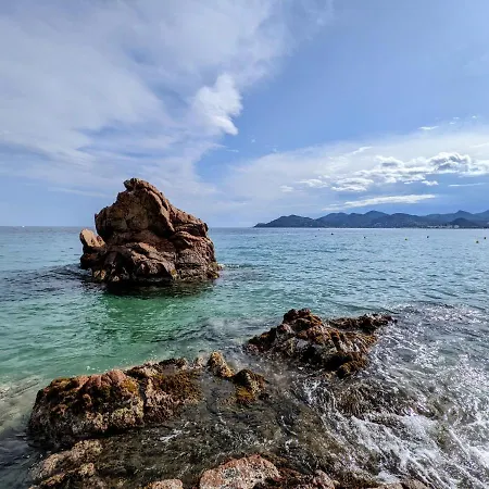 Lovely Cocoon In * Cannes