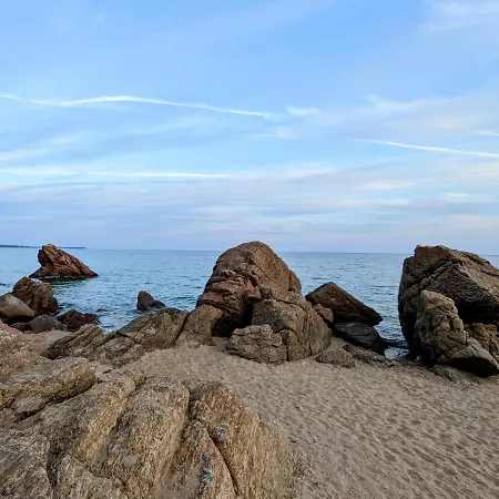 Lovely Cocoon In * 칸느